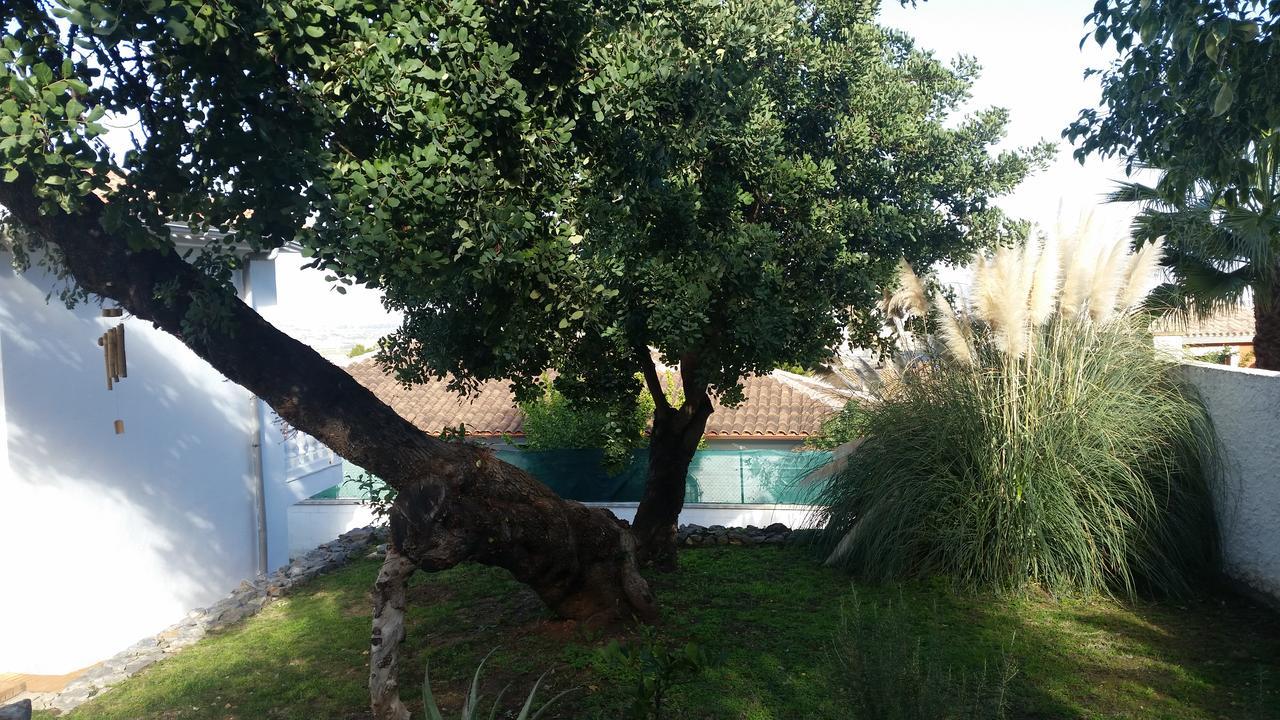 Manzanilla Villa Alhaurín de la Torre